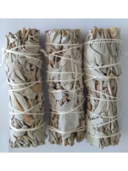 Comprando 25 unidades Atadillo de Salvia Blanca de 11-13cm. aprox.