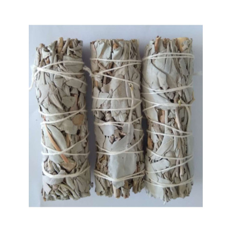 Comprando 25 unidades Atadillo de Salvia Blanca de 11-13cm. aprox.