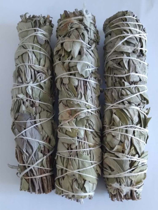 Promoción Atadillo de Salvia 13-16 cm. aprox..  comprando 10 unidades
