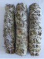 Promoción Atadillo de Salvia 13-16 cm. aprox..  comprando 10 unidades