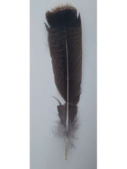 Producto pequeña tara Pluma para ritual. Con imperfecciones.