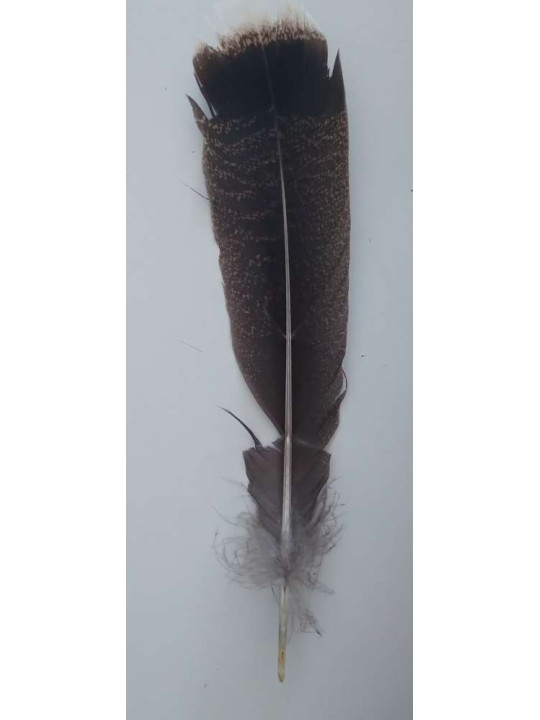 Producto pequeña tara Pluma para ritual. Con imperfecciones.
