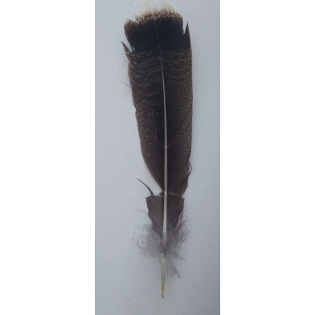 Producto pequeña tara Pluma para ritual. Con imperfecciones.