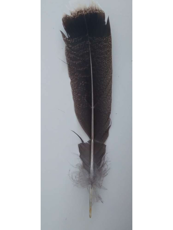 Producto pequeña tara Pluma para ritual. Con imperfecciones.