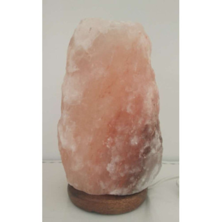 Outlet Lampara de sal Himalaya 2 a 4 Kg