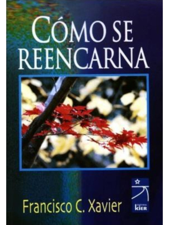 Como se reencarna.
