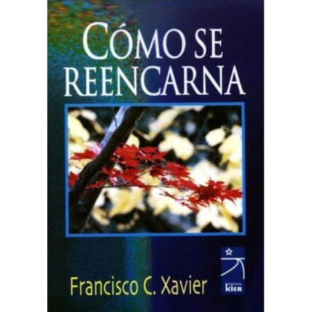 Como se reencarna.