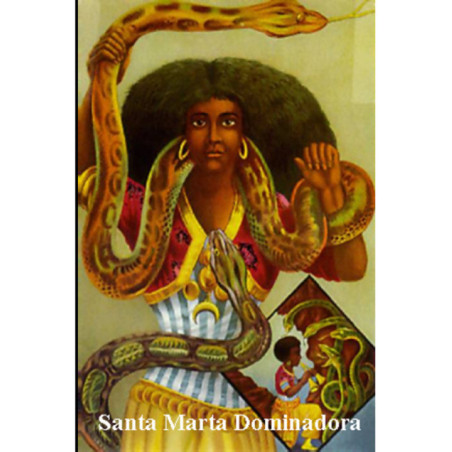 Estampa Plastificada Santa Marta Dominadora. 5x7,5cm