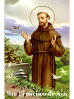 Estampa Plastificada San Francisco de Asís. 5x7,5cm