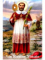 Estampa Plastificada de San Ramón Nonato de 5x7,5cm.