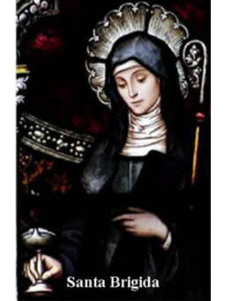 Estampa Plastificada de Santa Brigida, de 5x7,5cm. ?