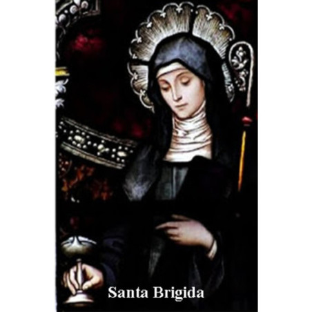 Estampa Plastificada de Santa Brigida, de 5x7,5cm. ?
