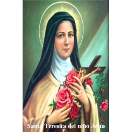 Estampa Plastificada Santa Teresita del Niño Jesús. 5x7,5cm