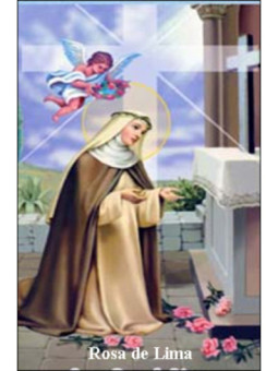 Estampa Plastificada Rosa de Lima. 5x7,5cm