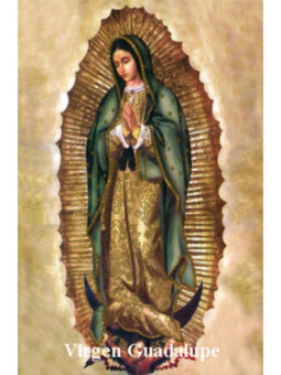 Estampa Plastificada Virgen Guadalupe. 5x7,5cm