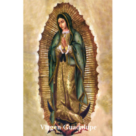 Estampa Plastificada Virgen Guadalupe. 5x7,5cm