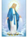 Estampa Plastificada Virgen Milagrosa. 5x7,5cm
