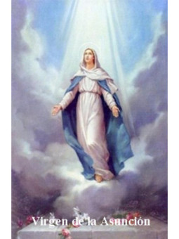 Estampa Plastificada Virgen de la Asunción. 5x7,5cm