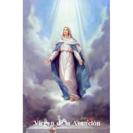 Estampa Plastificada Virgen de la Asunción. 5x7,5cm