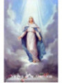 Estampa Plastificada Virgen de la Asunción. 5x7,5cm