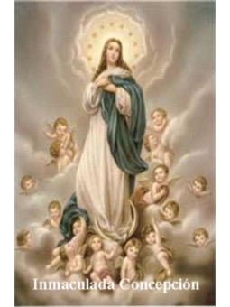 Estampa Plastificada Inmaculada Concepción. 5x7,5cm