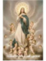 Estampa Plastificada Inmaculada Concepción. 5x7,5cm