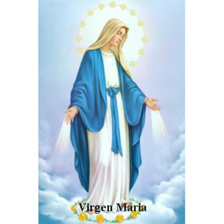 Estampa Plastificada Virgen Maria, de 5x7,5cm.