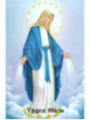 Estampa Plastificada Virgen Maria, de 5x7,5cm.