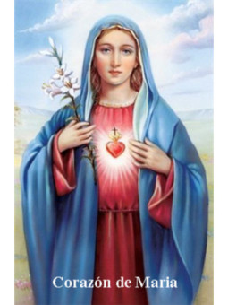 Estampa Plastificada Corazón de Maria, 5x7,5cm