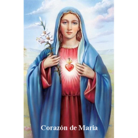 Estampa Plastificada Corazón de Maria, 5x7,5cm