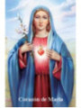 Estampa Plastificada Corazón de Maria, 5x7,5cm