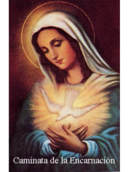 Estampa Plastificada Caminata Virgen de la Encarnación. 5x7,5cm