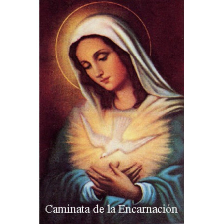 Estampa Plastificada Caminata Virgen de la Encarnación. 5x7,5cm
