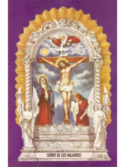 Estampa Plastificada Señor de los Milagros, de 5x7,5cm.