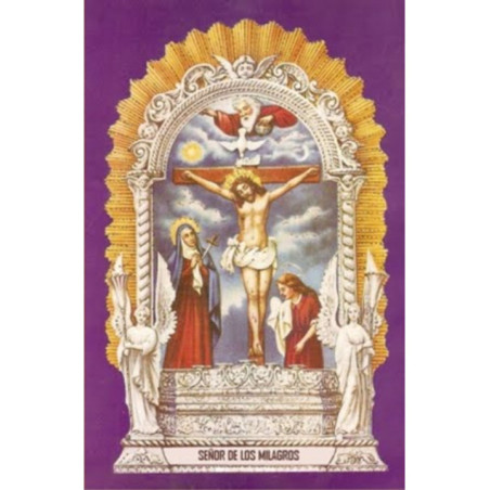 Estampa Plastificada Señor de los Milagros, de 5x7,5cm.