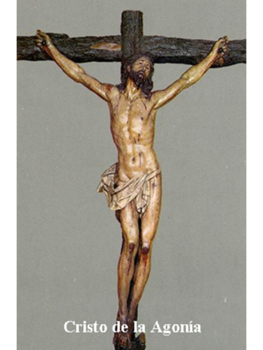 Estampa Plastificada Cristo de la Agonía, de 5x7,5cm.