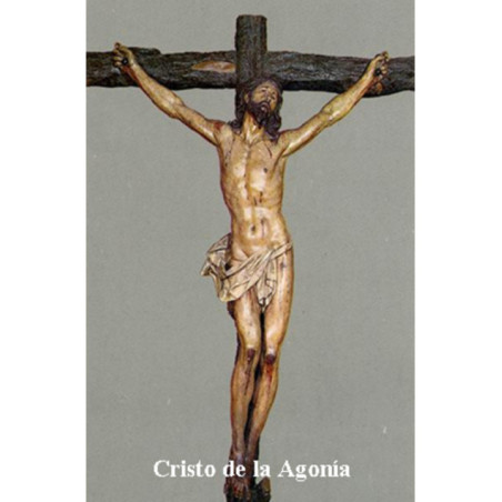 Estampa Plastificada Cristo de la Agonía, de 5x7,5cm.