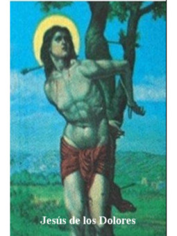 Estampa Plastificada Jesús de los Dolores, de 5x7,5cm