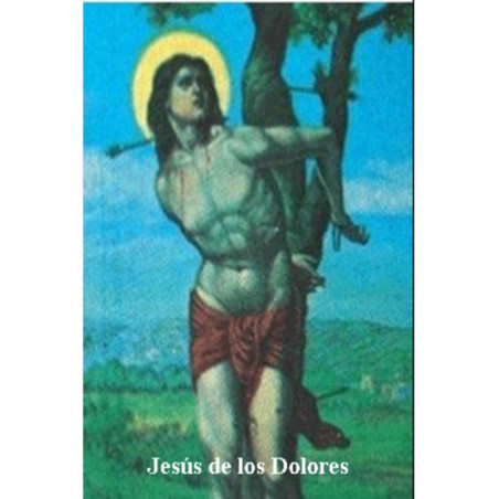 Estampa Plastificada Jesús de los Dolores, de 5x7,5cm