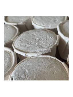 Autentica Cascarilla con Agua Bendita, Unidades