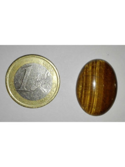Piedra Natural Oval Ojo Tigre